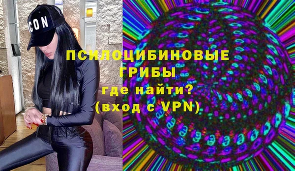 МДМА Грязовец