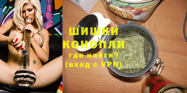 хмурый Семилуки