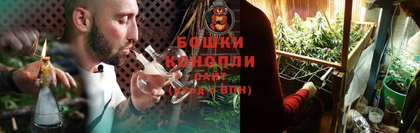 шишки Богданович